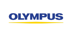Trusted by groups with 10 to 10,000+ employees:
