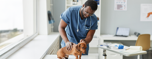 The Vet Tech’s Uniform: Why Specialized Features Are Your Biggest Selling Point