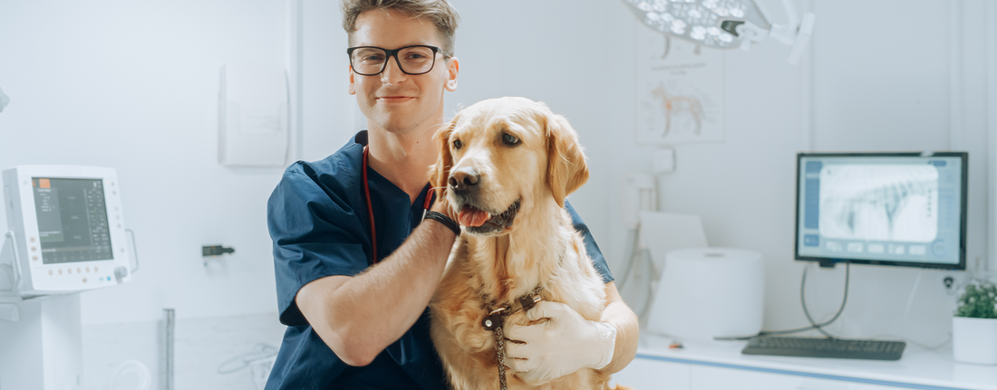 Vet Tech Week Starts October 18: What Distributors Should Know