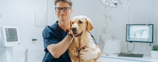 Vet Tech Week Starts October 18: What Distributors Should Know