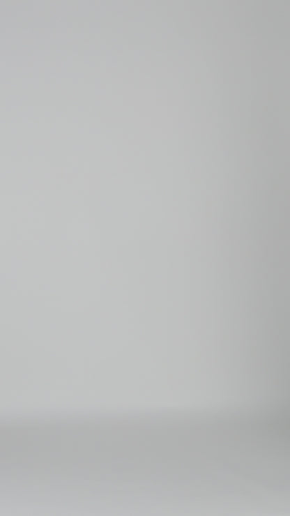 vfceb2_video.mp4