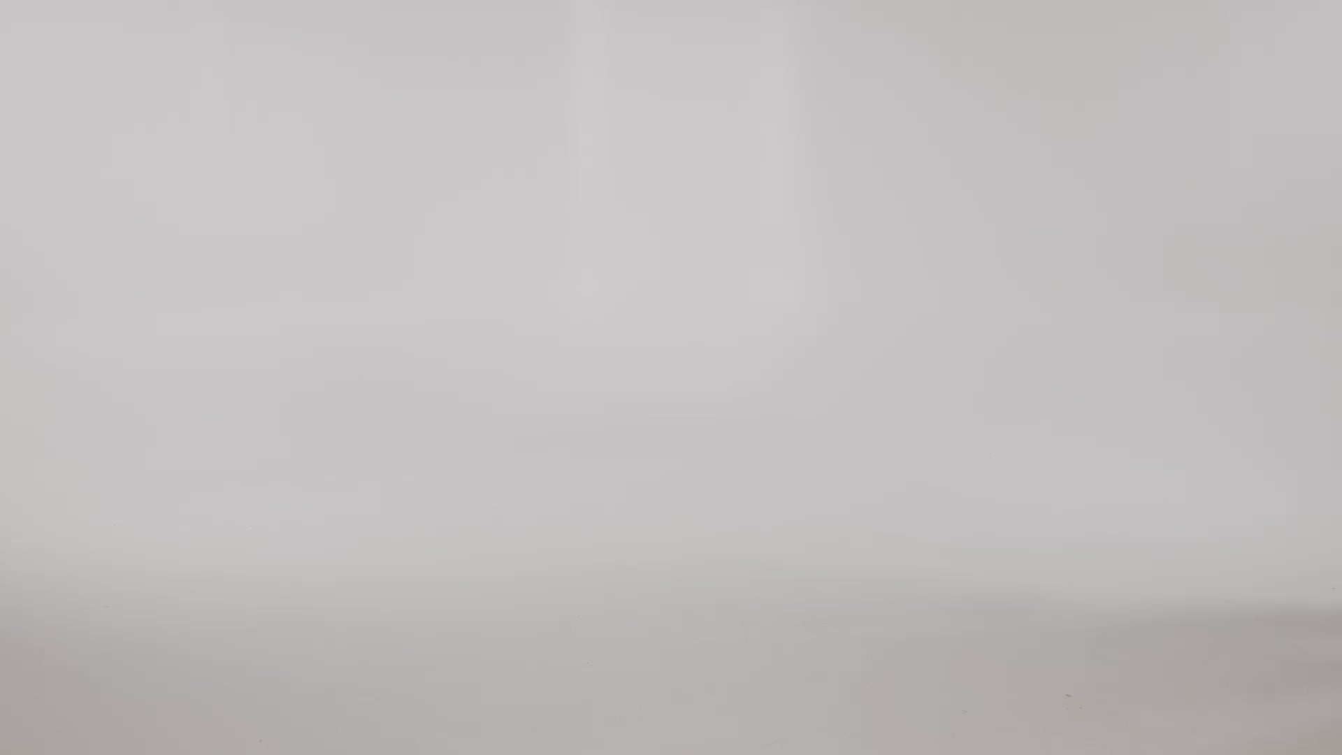 vfpt88_video.mp4