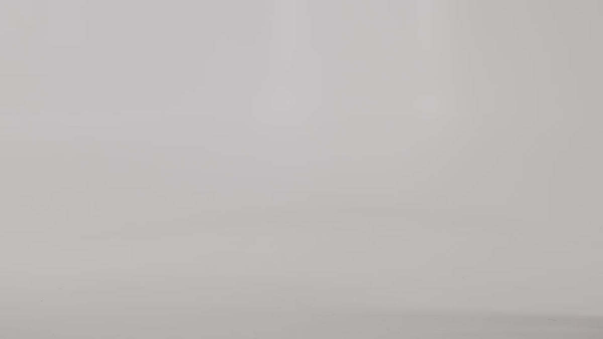 vfpt2l_video.mp4