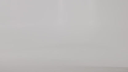 vfpt2l_video.mp4