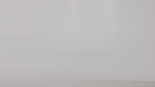 vfpt2l_video.mp4