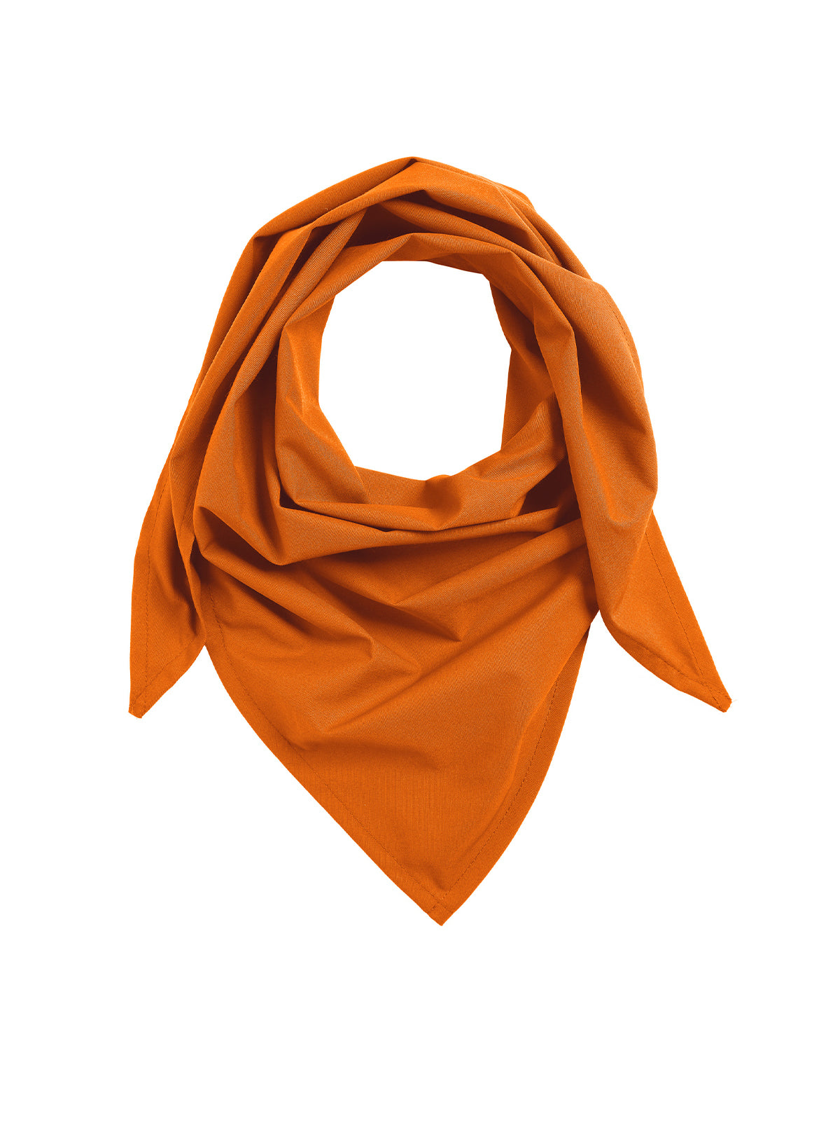 Chef's Neckerchief - 0175 - Carrot