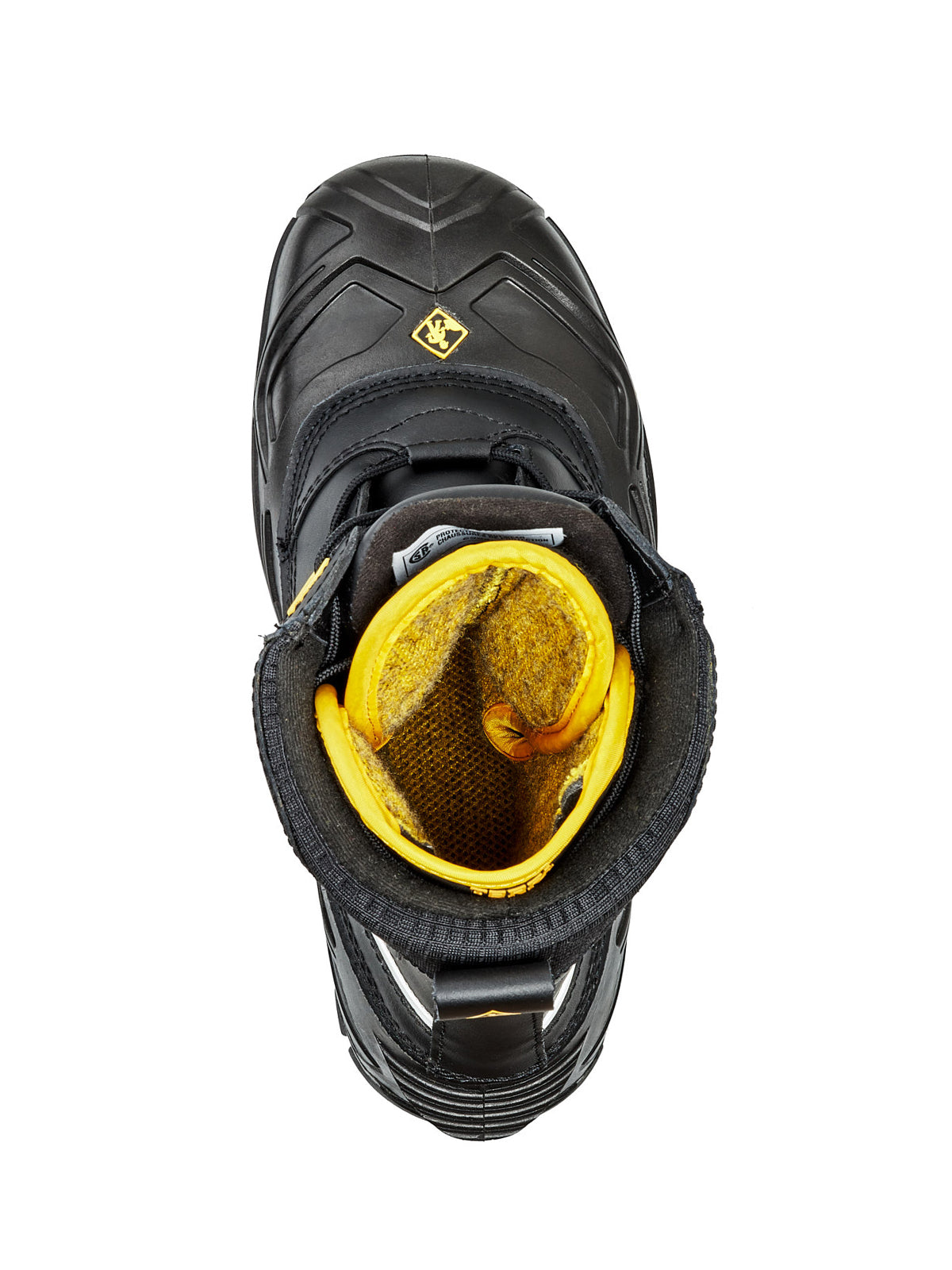 D2