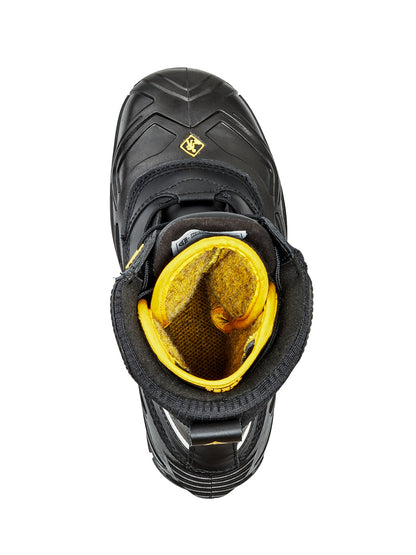 D2