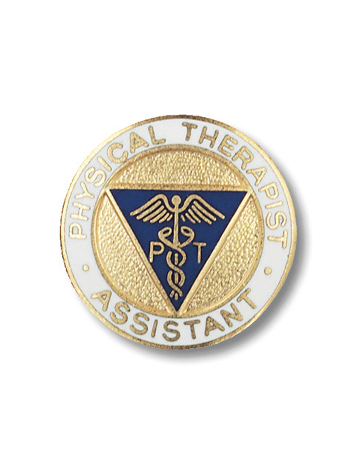 Physical Therapist Assistant Cloisonne Pin - 2025 - Standard